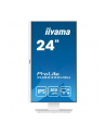 iiyama Monitor 23.8 cala XUB2492HSU-W6 IPS,HDMI,DP,100Hz,SLIM,HAS(150mm),4xUSB - nr 50