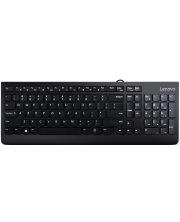 LENOVO 300 USB Keyboard US English GX30M39655 KTRBiz (P)