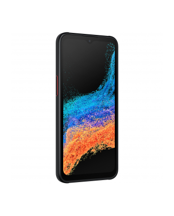 Smartfon Samsung Galaxy Xcover 6 Pro (G736) Enterprise Edition 6/128GB 6,6''; PLS 2408x1080 4050mAh Dual SIM 5G Black
