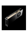 pny technologies Karta graficzna PNY NVIDIA RTX 5000 Ada Generation, 32 GB GDDR6 ECC 256-bit, PCIe 40 x16, Dual Slot, 4x DP 14a, ATX - ATX bracket, 1x 16-pin power supply cable, small box - nr 28