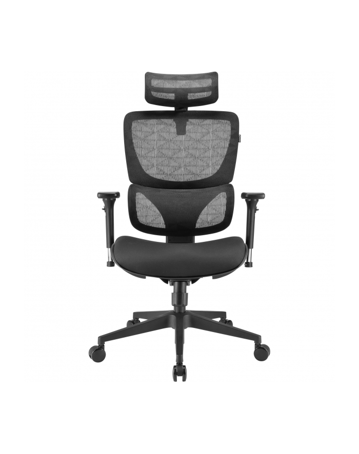 Sharkoon office chair OfficePal C30, gaming chair (Kolor: CZARNY) główny