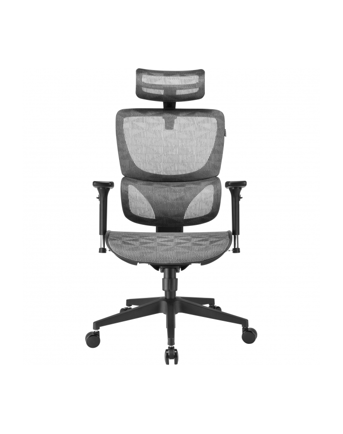 Sharkoon office chair OfficePal C30M, gaming chair (grey) główny