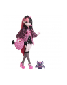 Mattel Monster High Draculaura Doll - nr 11