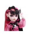 Mattel Monster High Draculaura Doll - nr 14