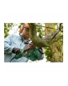 bosch powertools Bosch electric chainsaw UniversalChain 35, with 2nd chain (green/Kolor: CZARNY, 1,800 watts) - nr 3