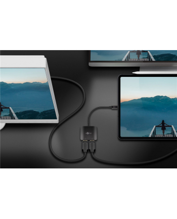 goobay USB adapter, USB-C plug > 2x DisplayPort socket (Kolor: CZARNY, 12cm, up to 8K @ 30Hz)