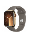 Apple Watch Series 9, Smartwatch (gold/brown, stainless steel, 45 mm, sports strap, cellular) - nr 1