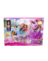Barbie FAB Advent Calendar 2023, doll - nr 6