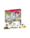 Schleich Farmworld Advent Calendar 2023, toy figure - nr 14