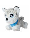 Simba ChiChi LOVE Happy Husky, cuddly toy - nr 1