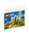 LEGO 30590 City Farm Garden with Scarecrow Construction Toy - nr 10