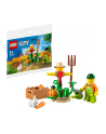 LEGO 30590 City Farm Garden with Scarecrow Construction Toy - nr 15