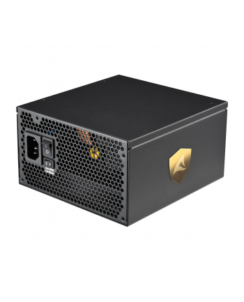 Sharkoon REBEL P30 Gold 1000W ATX3.0, PC power supply (Kolor: CZARNY, 4x PCIe, cable management, 1000 watts)