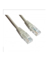 Patch cord kat.5e osłonka zalewana 0.5M szary - nr 11