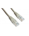 Patch cord kat.5e osłonka zalewana 0.5M szary - nr 13