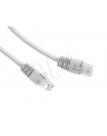 Patch cord FTP kat.6e osłonka zal. 0.5M szary - nr 12