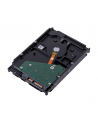seagate Dysk IronWolf 1TB 3,5 cala ST1000VN008 - nr 7