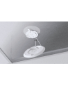 ubiquiti Punkt dotępowy AP Unifi U6+ (PLUS)2,4/5GHz U6+ - nr 50