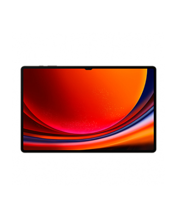 SAMSUNG Galaxy Tab S9 Ultra 256GB, tablet PC (graphite, System Android 13, 5G)