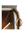 Apple Watch Series 9, Smartwatch (gold/brown, stainless steel, 45 mm, sports strap, cellular) - nr 15