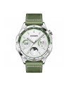 Smartphome Huawei Watch GT4 46mm (Phoinix-B19W), smartwatch (green, woven strap) - nr 16