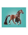 PLAYMOBIL 71355 Horses of Waterfall Zoe ' Blaze with tournament course, construction toy - nr 14