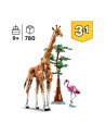 LEGO 31150 CREATOR Dzikie zwierzęta z safari p3 - nr 10
