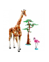 LEGO 31150 CREATOR Dzikie zwierzęta z safari p3 - nr 9