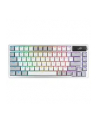 asus Klawiatura ROG Azoth White NX OLED 8000Hz/0.125ms/NX/USB 2.0 - nr 37