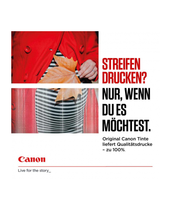 canon Tusz PGI-35 BK  TWIN 1509B029