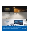 tp-link Żarówka Tapo L535E Smart Multicolor - nr 28