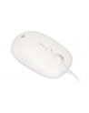 IBOX Seagull wired optical mouse - nr 5