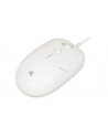 IBOX Seagull wired optical mouse - nr 6