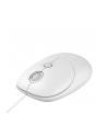 IBOX Seagull wired optical mouse - nr 1