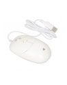 IBOX Seagull wired optical mouse - nr 4