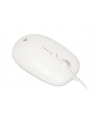 IBOX Seagull wired optical mouse - nr 6
