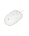 IBOX Seagull wired optical mouse - nr 7