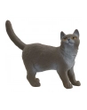 Schleich 13973 Kot brytyjski króktowłosy - nr 1