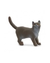 Schleich 13973 Kot brytyjski króktowłosy - nr 4