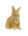 Schleich 13974 Królik lwi - nr 1