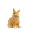 Schleich 13974 Królik lwi - nr 2