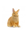 Schleich 13974 Królik lwi - nr 4