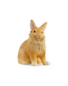 Schleich 13974 Królik lwi - nr 5