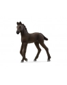 Schleich 13977 Źrebię Fryzyjskie - nr 5