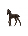 Schleich 13977 Źrebię Fryzyjskie - nr 6
