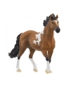 Schleich 13978 Ogier rasy Mangalarga Marchador - nr 1