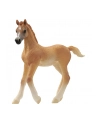 Schleich 13984 Źrebię czystej krwi arabskiej - nr 1