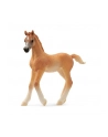 Schleich 13984 Źrebię czystej krwi arabskiej - nr 2