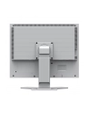 EIZO FlexScan S2134, LED monitor - 21.3 - gray, DisplayPort, DVI-D, VGA - nr 25