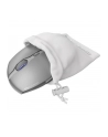 Cherry Gentix BT, mouse (silver) - nr 22